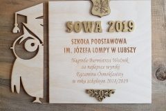 SOWA-2019