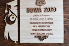 sowa-2020