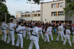 69-IMG_6774