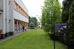 77-IMG_6806